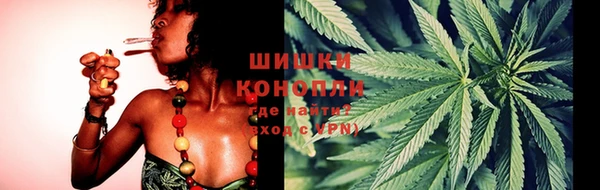 трава Белокуриха