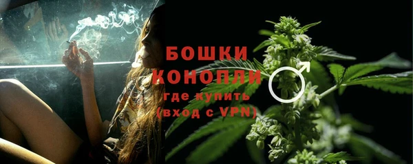 трава Белокуриха