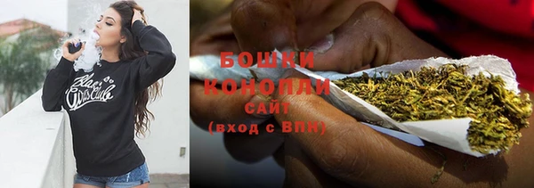 трава Белокуриха