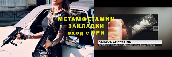 трава Белокуриха