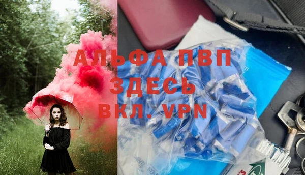 трава Белокуриха