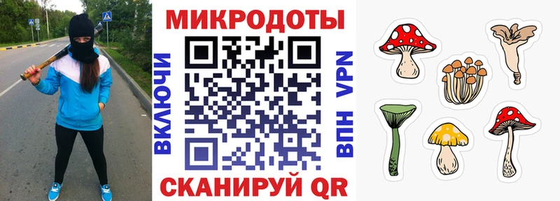 Галлюциногенные грибы Cubensis  что такое   Полесск 